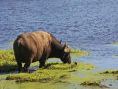 2 weken Zuid-Afrika 14 dagen rondreis