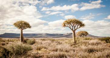 Avontuurlijke rondreis Zuid-Afrika, 32 dagen avontuur