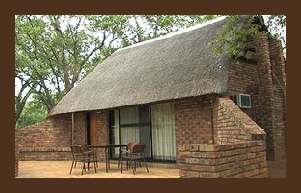 Budget Safari Krugerpark 10 dagen