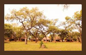 Budget Safari Krugerpark 10 dagen