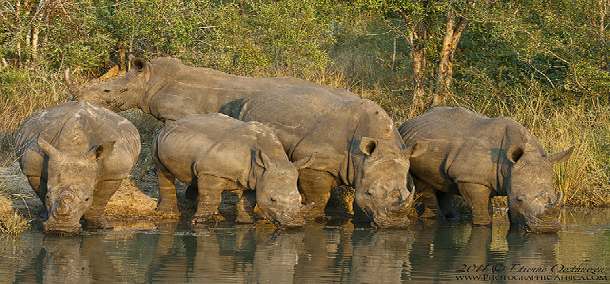 Fotoreis Zuid-Afrika met Safari