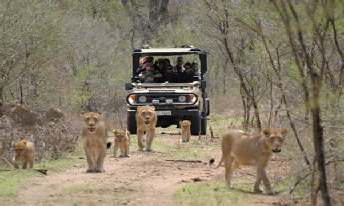 Fotoreis Zuid-Afrika met Safari