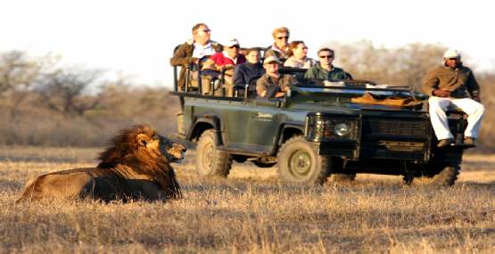 Gehandicapten-reizen-zuid-afrika, mindervaliden safari's