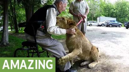 Gehandicapten-reizen-zuid-afrika, mindervaliden safari's