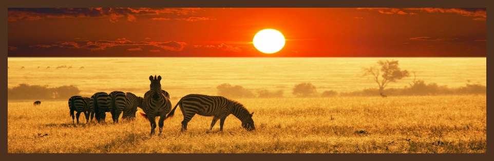 Goedkope Zuid-Afrika reizen, reis met ons rond of ga met ons op Safari