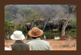 Goedkope Rondreis Zuid-Afrika 19 dagen