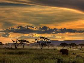 Krugerpark Safari van 4 dagen in Zuid-Afrika