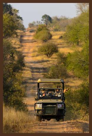 Verblijf goedkoop in een Safari Lodge in Zuid-Afrika bij het krugerpark