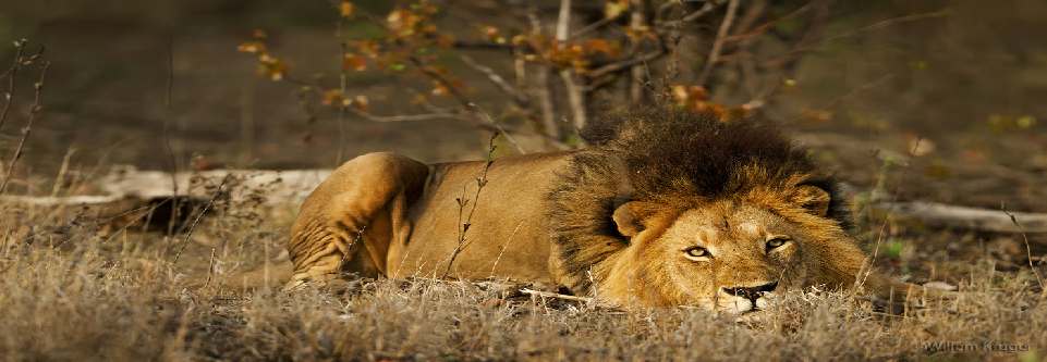 Krugerpark kaart