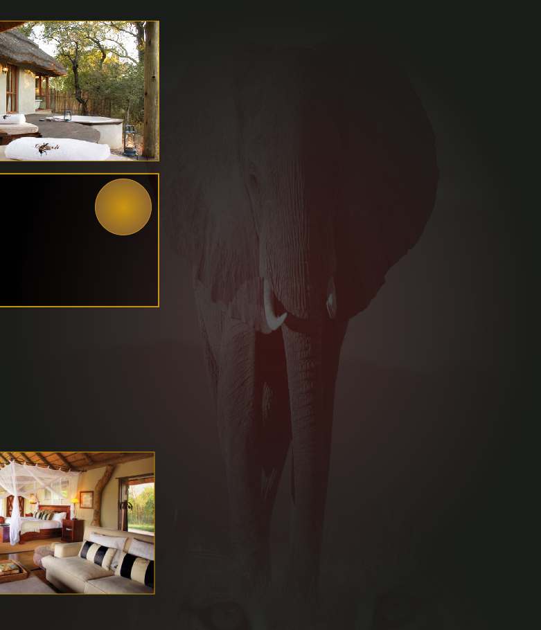 Luxe Krugerpark Safari, Exclusieve VIP Safari Lodge