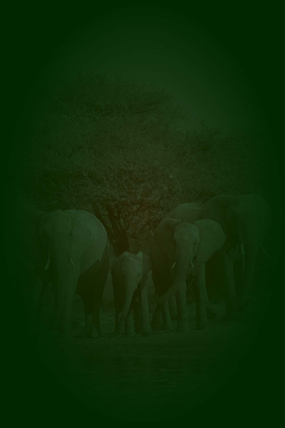 Natuur rond reizen Zuid-Afrika anders dan anders