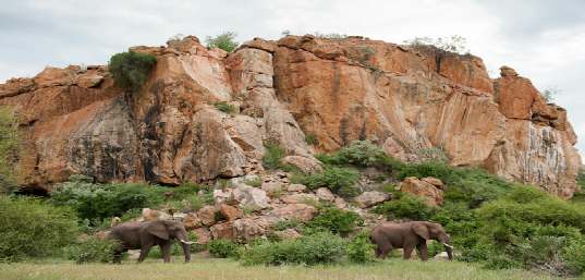 Zuid-Afrika natuur rondreis anders dan anders