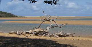 Natuurreis Zuid-Afrika 22 dagen door de Natuur van prachtig Zuid-Afrika