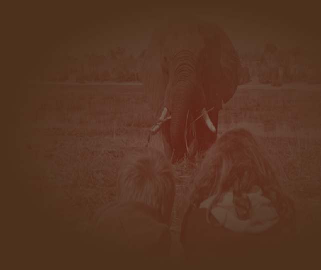 Natuurreis Zuid-Afrika 22 dagen door de Natuur van prachtig Zuid-Afrika