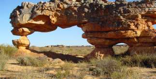 Natuurreis Zuid-Afrika 22 dagen door de Natuur van prachtig Zuid-Afrika