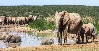 Natuurreis Zuid-Afrika 22 dagen door de Natuur van prachtig Zuid-Afrika