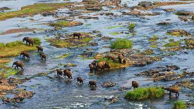 Natuur reizen Zuid-Afrika anders