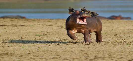 Natuur rondreis anders dan anders Zuid-Afrika