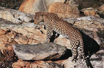 Natuur reizen Zuid-Afrika anders