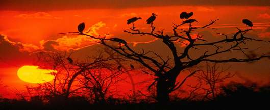 Natuur reizen Zuid-Afrika anders