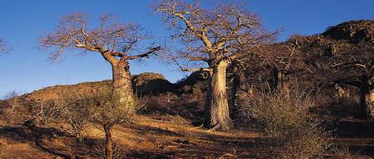 Natuur reizen Zuid-Afrika anders