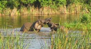 Rondreizen Zuid-Afrika en Krugerpark Safari's