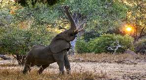 Rondreizen Zuid-Afrika en Krugerpark Safari's