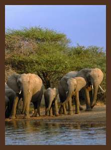 Verblijf goedkoop in een Safari Lodge in Zuid-Afrika bij het krugerpark