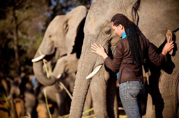 Speciale reizen Zuid-Afrika met interactie en avontuur