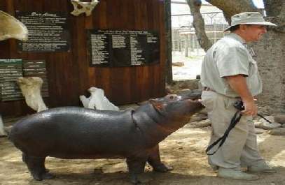 Speciale reizen Zuid-Afrika met interactie en avontuur