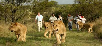 Speciale reizen Zuid-Afrika met interactie en avontuur