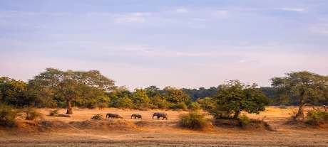 Vakantie Nederlanders Zuid-Afrika rondreizen met een Nederlandse Prive gids