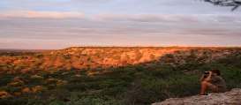 Voordelige rondreis Zuid-Afrika Midden 12 dagen