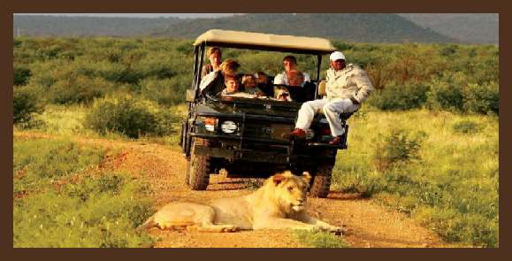 Voordelige rondreis Zuid-Afrika Midden 12 dagen