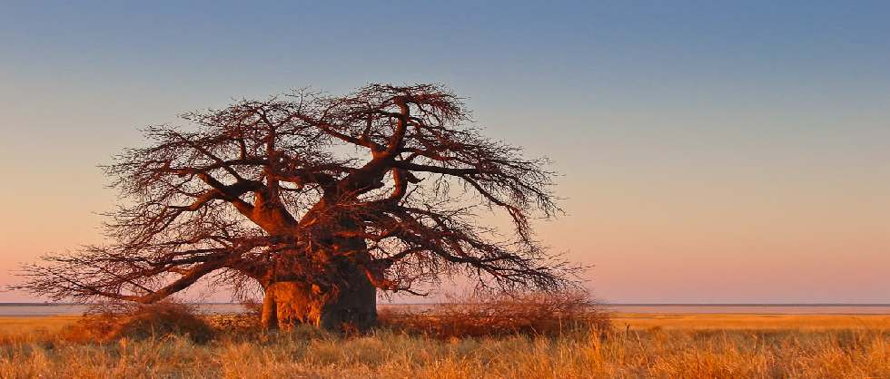 Zuid-Afrika anders dan anders rondreizen