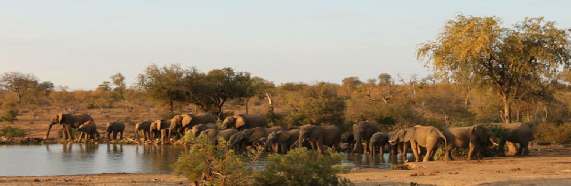 Krugerpark Wetenswaardigheden