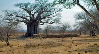 Krugerpark Informatie over de plaatsen die wij bezoeken