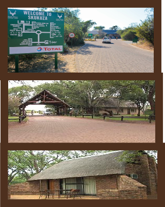 Krugerpark Kampen en Accommodaties