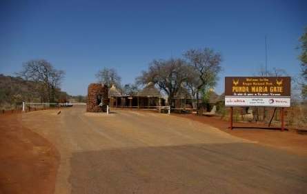 Op Safari in het Krugerpark Zuid-Afrika