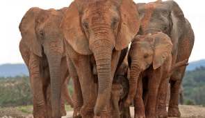 Zuid-Afrika natuur rondreis anders dan anders