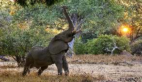 Zuid-Afrika natuur rondreis anders dan anders