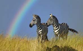 Zuid-Afrika natuur rondreis anders dan anders