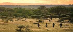 Goedkope Zuid-Afrika reizen 8 dagen Mapungubwe rondreis