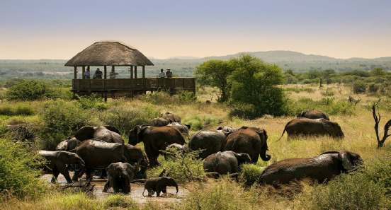 Natuur reizen Zuid-Afrika anders dan anders, meer ervaren, meer beleven, meer zien. 