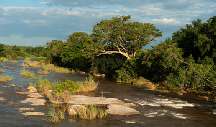 Foto Galerij Zuid-Afrika Reizen