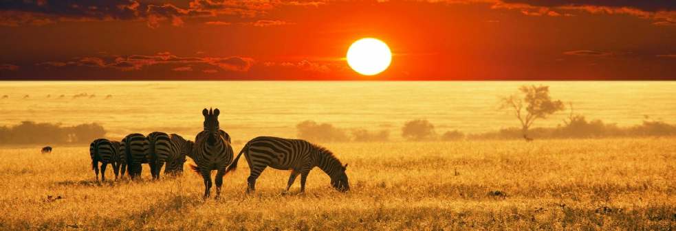 Rondreizen Zuid-Afrika en Krugerpark Safari's