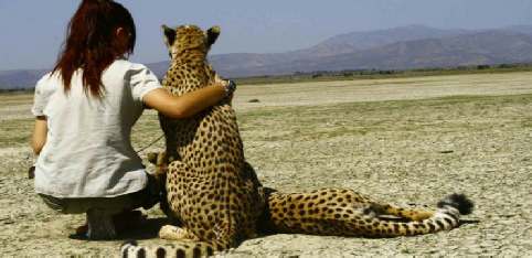 Vakantie Zuid-Afrika rondreizen en safari's